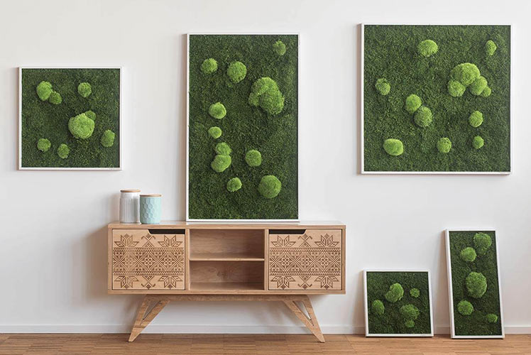 Moosbilder und Moosschriften Moosbilder und Moosschriften